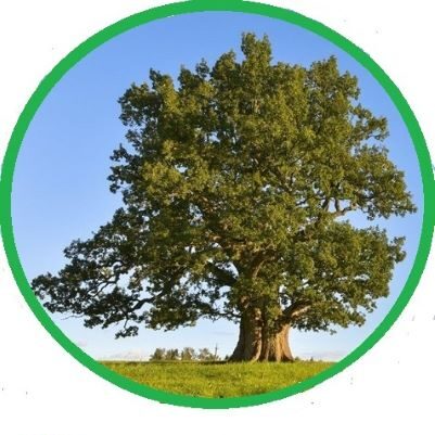 Kunglarahva hääl (2/17)