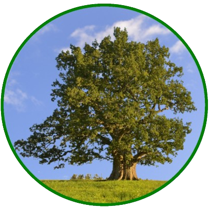 Peep Vassiljev ja Rita Kaljus Toomas Pauri autorisaates: Koondame jõud Eesti maavarade kaitseks!